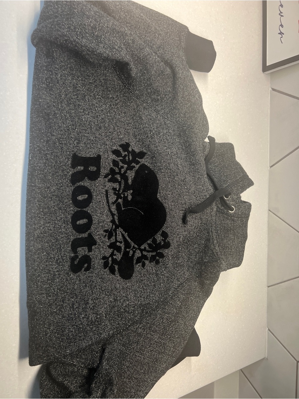 Roots Men's Hoodie
